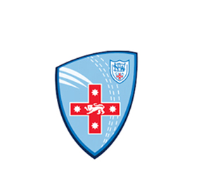 Cricket NSW